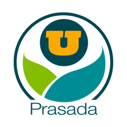 Prasada U logo (Use Prasada Logos folder!!!)