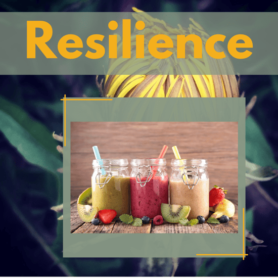 Resilience Recipe photo