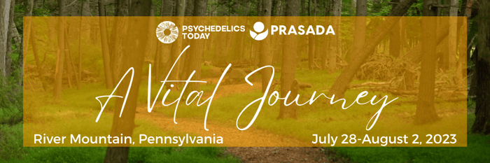 VITAL PA Header FINAL-1
