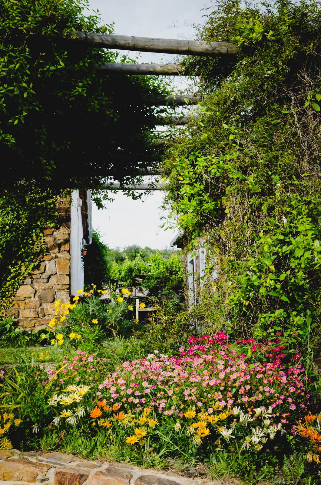 flowers flowers