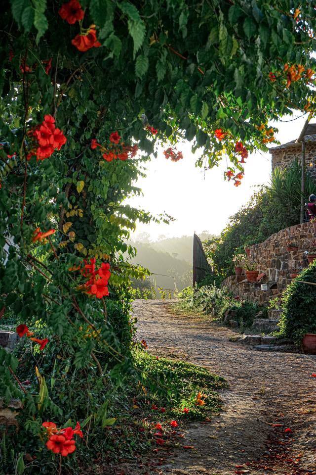 path